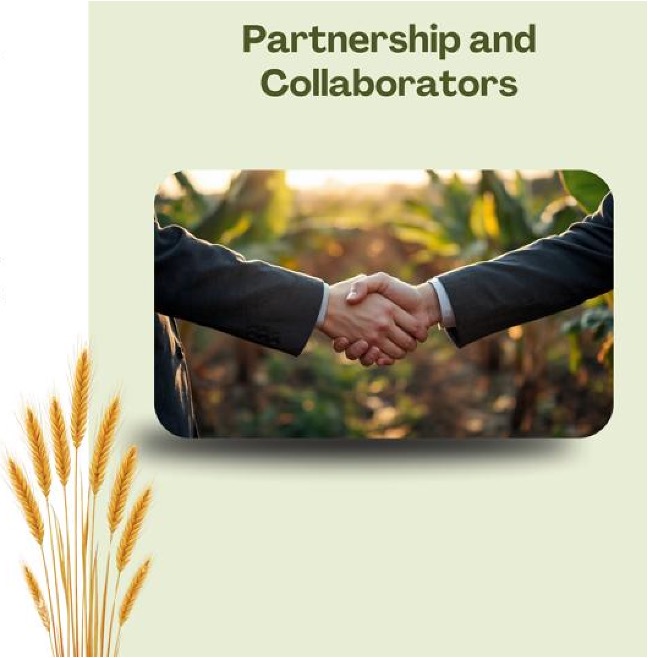 Partnership